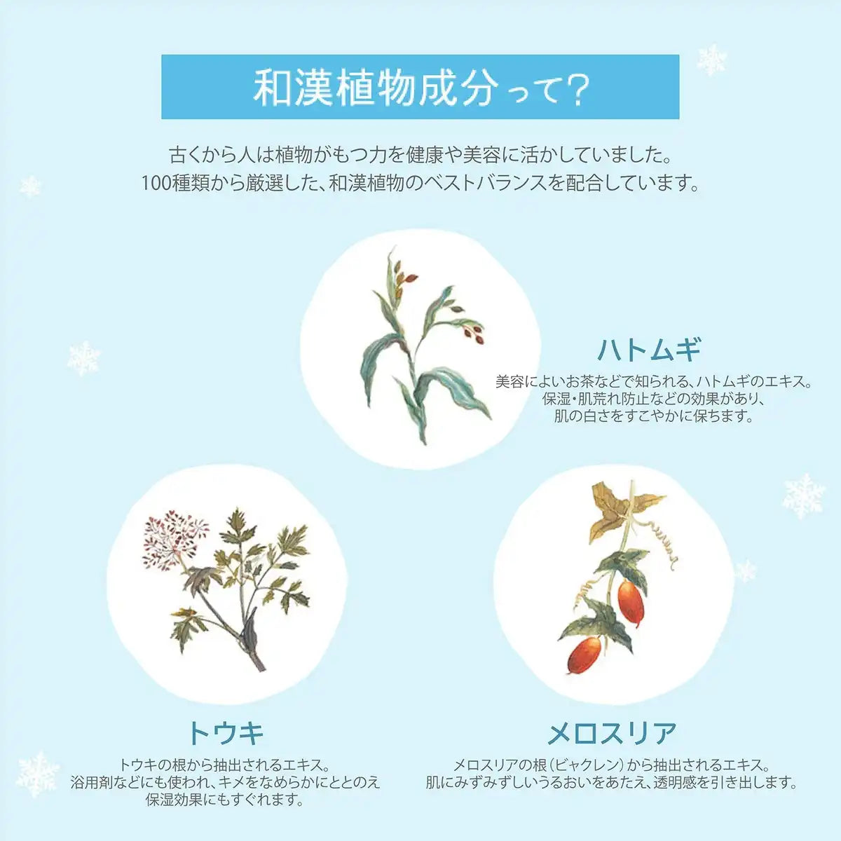 Kose Medicinal Snow Skin Cream 40G