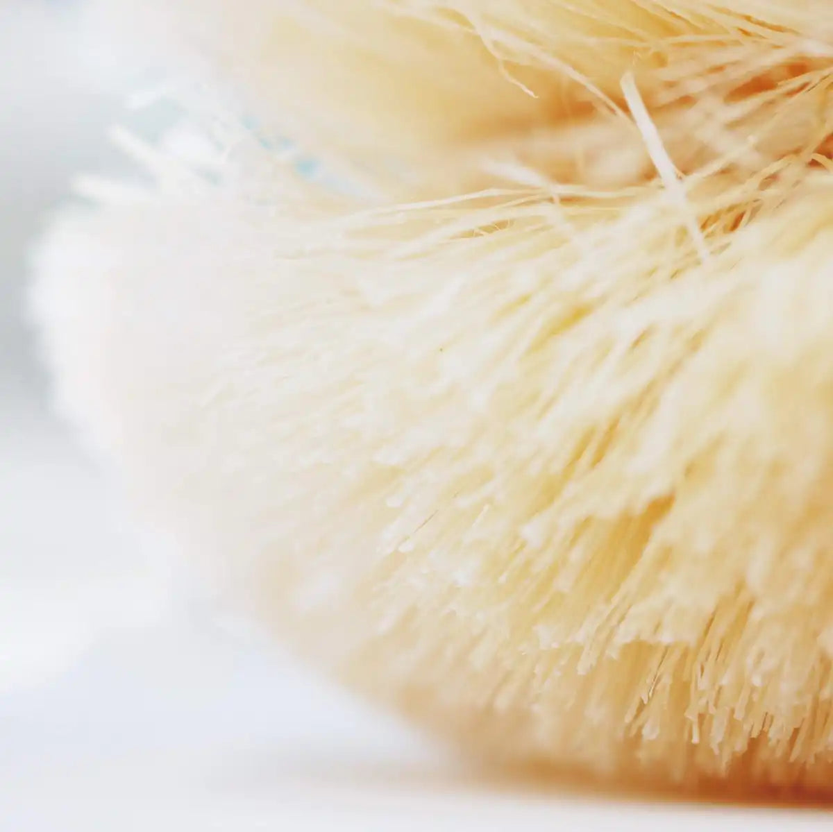 Kamenoko Tsubushi Nishio Shoten White Sisal Hemp Scrubber - Japan (Small)