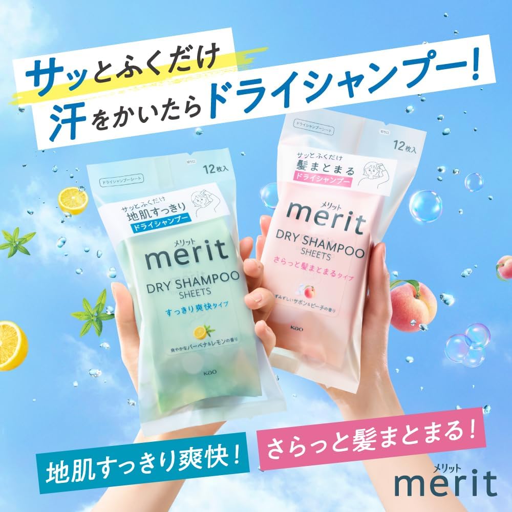 Merit Day Plus Dry Shampoo Sheet Japan White Green 12 Sheets