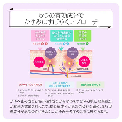 Sato Pharmaceutical Enpecure 20G Otc Drug - Japan Self-Medication Taxation System