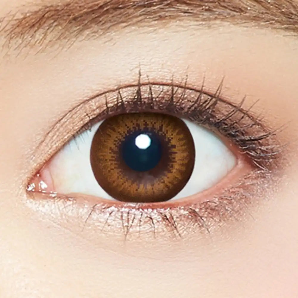 Ever Color 1 Day Natural Champagne Brown -3.00 20Pcs Japan