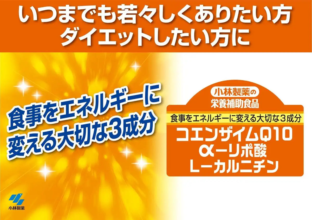 Kobayashi Pharmaceutical Nutritional Supplements Multivitamin Mineral Coenzyme Q10 Japan - 120 Tablets 30 Days Supply