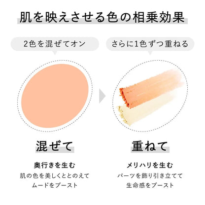 Kanebo Mood Boosting Cheek Blush 01 - Radiant Glow for All Skin Tones
