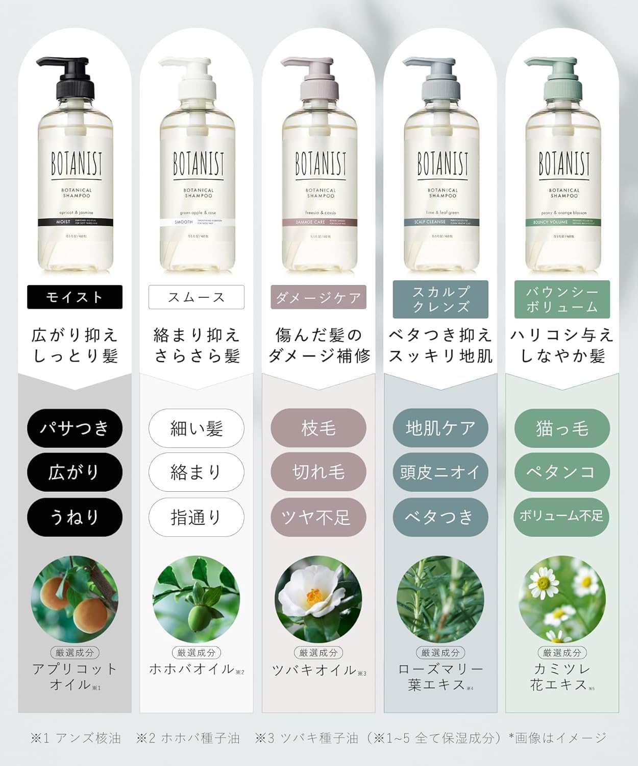 Botanist Japan Botanical Shampoo Smooth Refill Pouch 440Ml