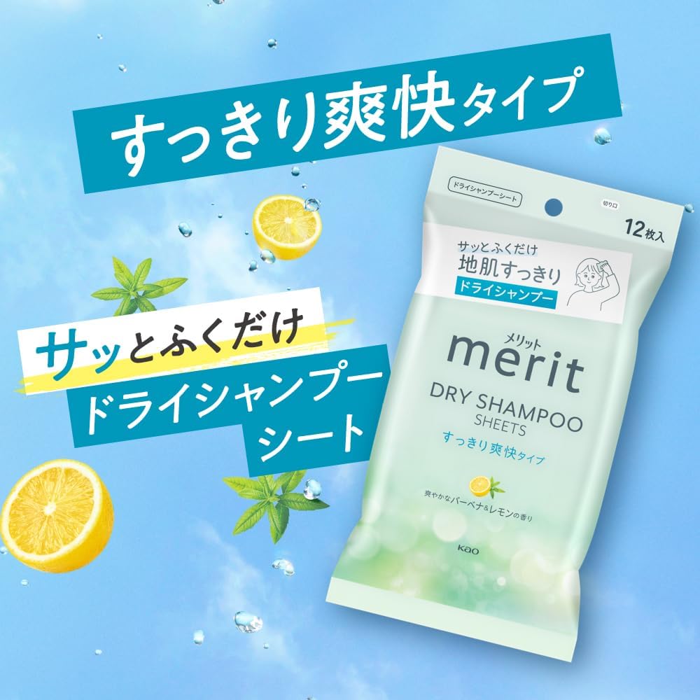 Merit Day Plus Dry Shampoo Sheet Japan White Green 12 Sheets