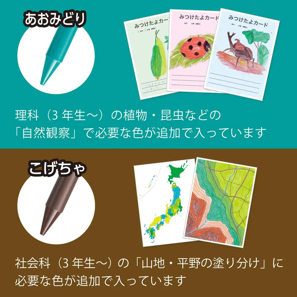 Pentel Japan Elementary School Colored Pencils 12+3 Colors Gcg1-12P3