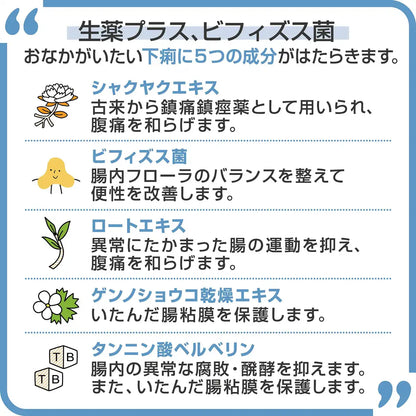 Biofermin Antidiarrheal 2 Drugs 30 Tablets Japan