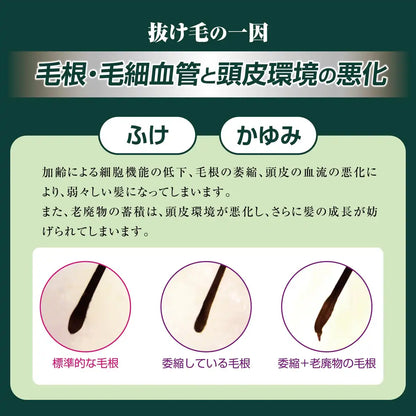 Gameno Kaminomoto A Unscented 200Ml Quasi-Drug Hair Care Solution