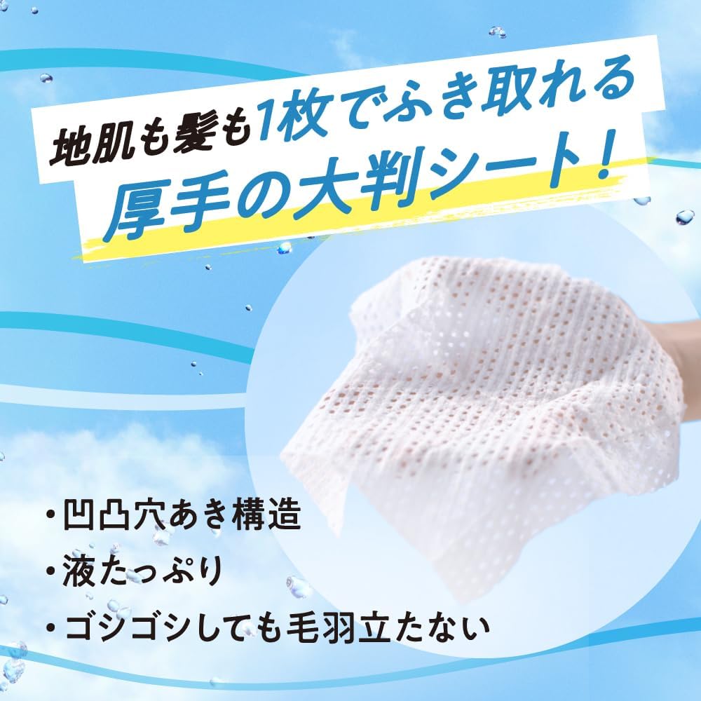 Merit Day Plus Dry Shampoo Sheet Japan White Green 12 Sheets