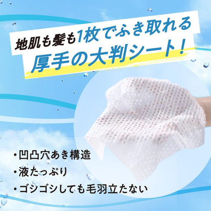 Merit Day Plus 乾洗洗髮精片日本白綠 12 片