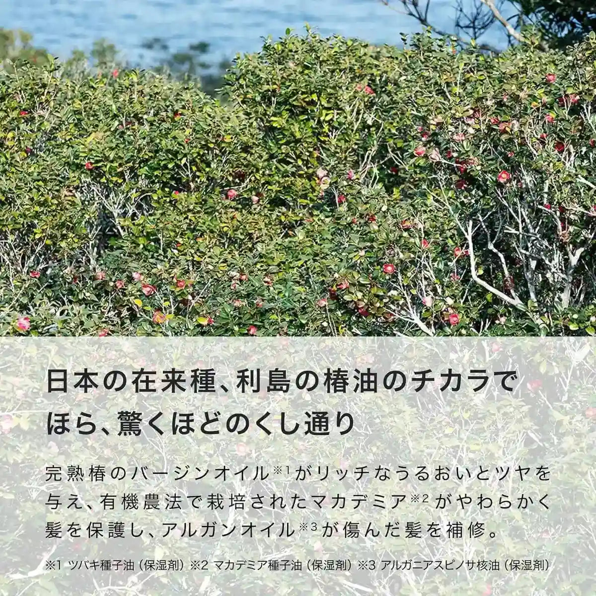 Linea Mamma Baby Organic Silicone Free Conditioner for All Ages