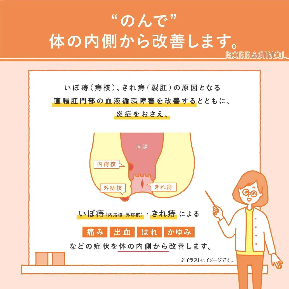 Boraginol Japan 2 Drug Oral Ep 16 Capsules