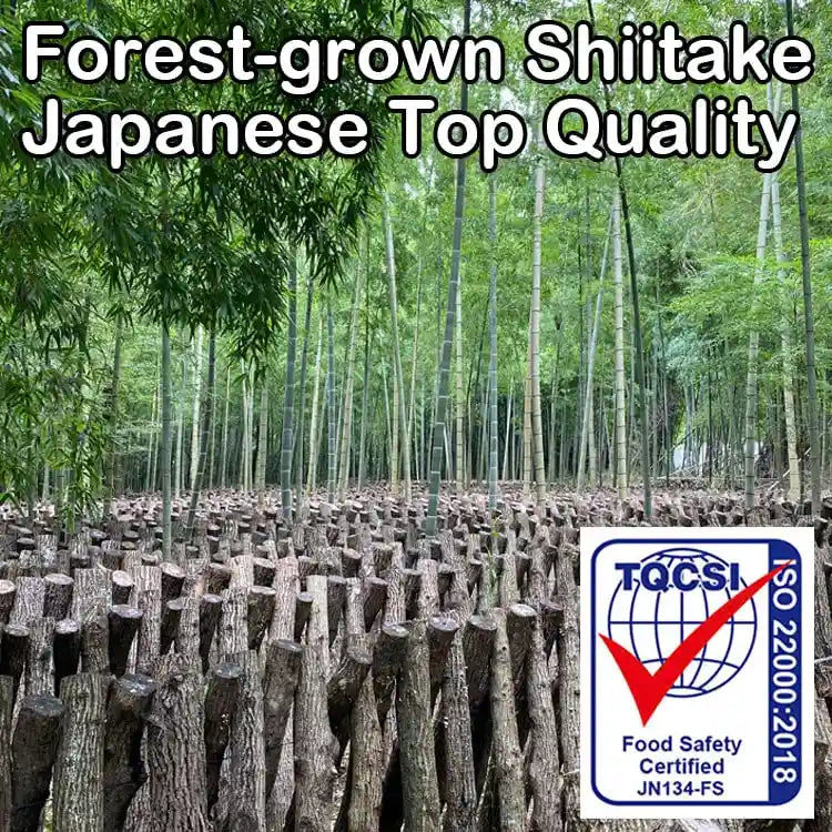 Sugimoto Organic Japanese Shiitake Mushroom Powder 40G All-Purpose
