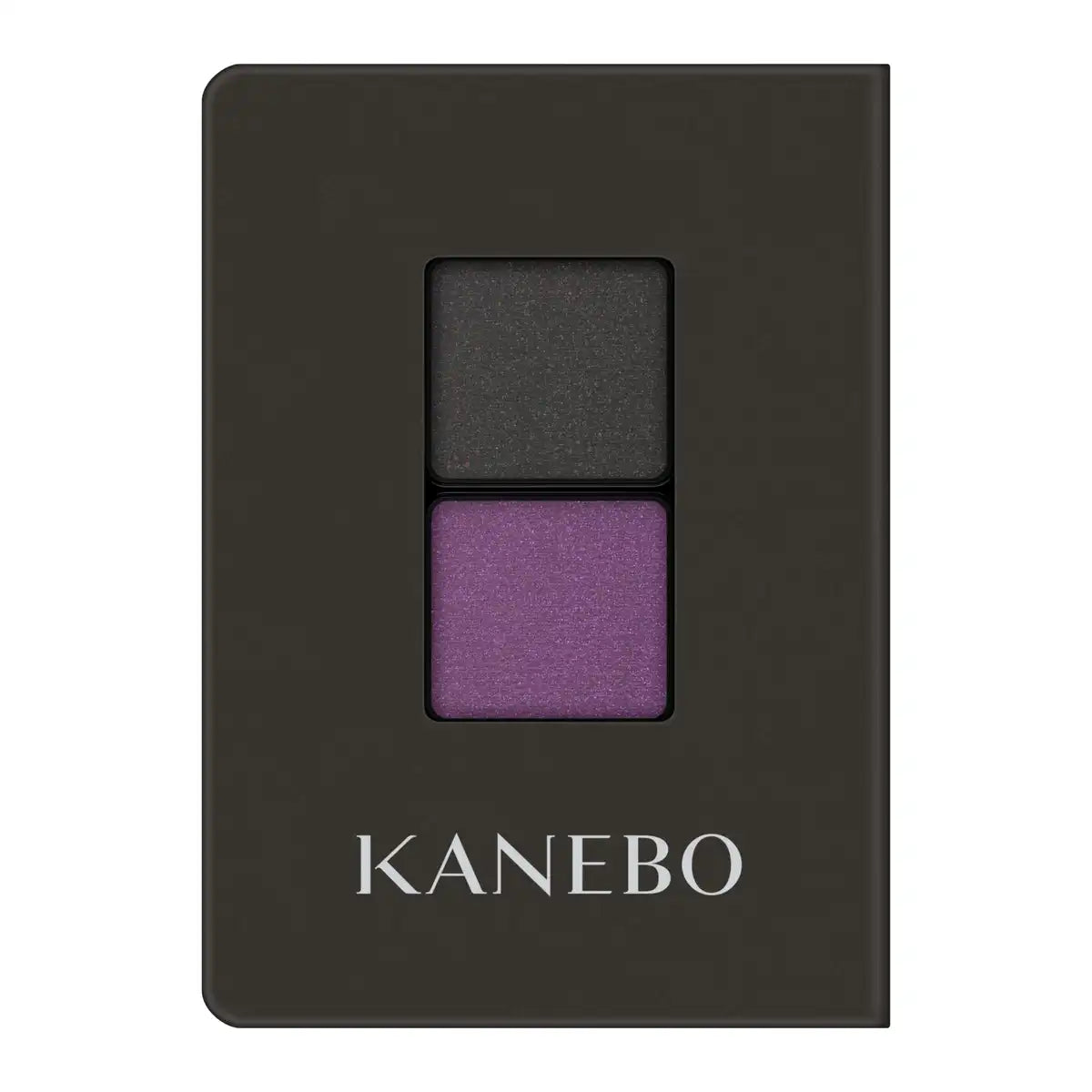 Kanebo Eye Color Duo Ex10 - High Pigmented & Long Lasting Shadow