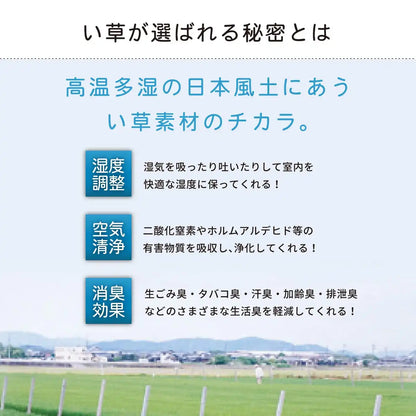 Hagiwara Igusa Overlay Carpet Green Edoma 1 Tatami Japan Double Eye Woven Water Repellent Bizen 148001200