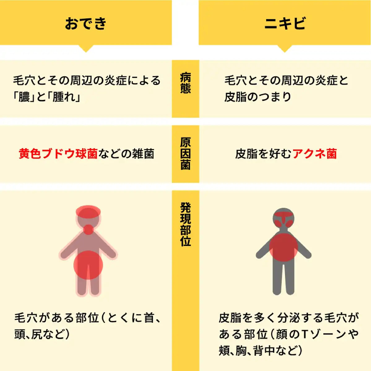 Ikeda Model Hall Odecure Ex 12G [Class 2 OTC Drug]