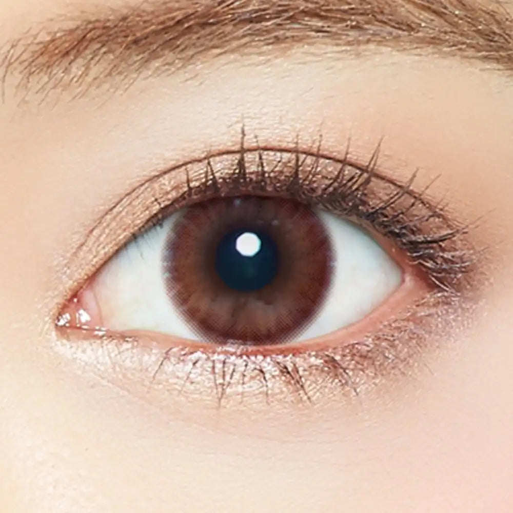 Ever Color 1-Day Natural Moist Label Uv Innocent Gram -2.50 20 Sheets | Japan