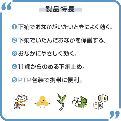 Biofermin Antidiarrheal 2 Drugs 30 Tablets Japan