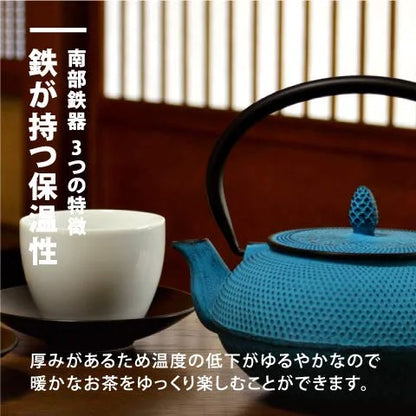 Ren Of Nanbu Tekki Teapot 0.4L Turquoise Blue Japan Traditional Craft | Arare Dome Iron Teapot W/Enameled Tea Strainer