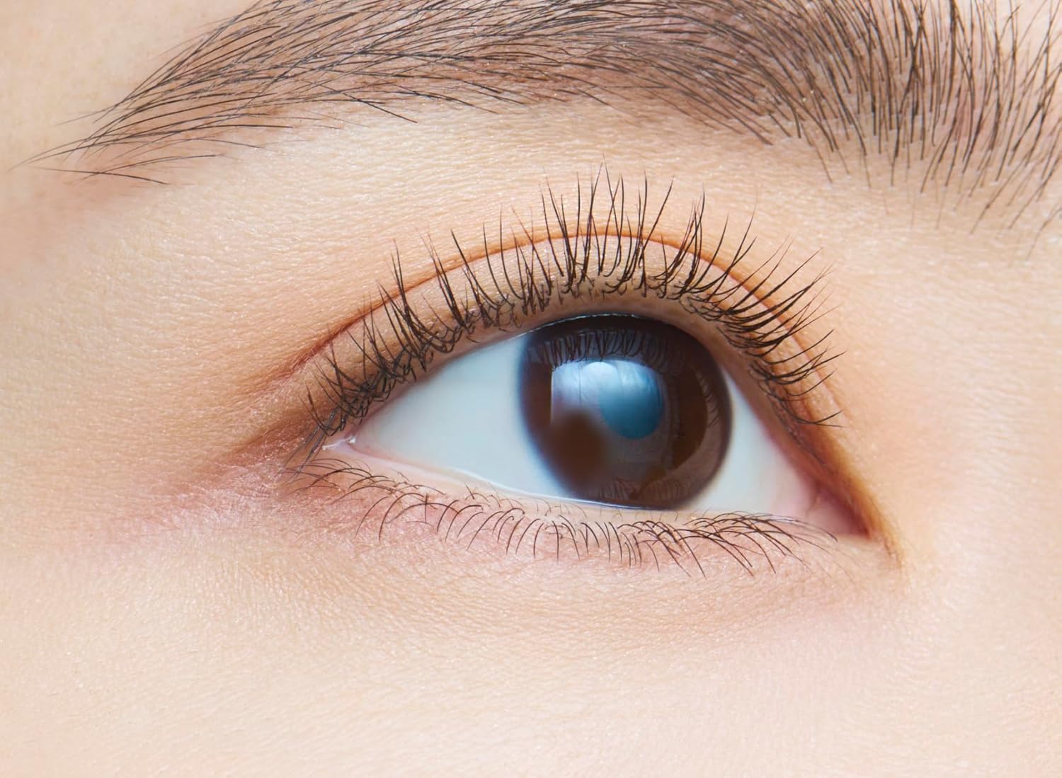 Dejavu Lashup Mascara E1 Black - Máscara de Esencia Japonesa - Maquillaje de Pestañas