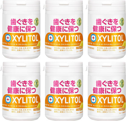 Lotte Xylitol Gum Fresh Mint Chewing Gum