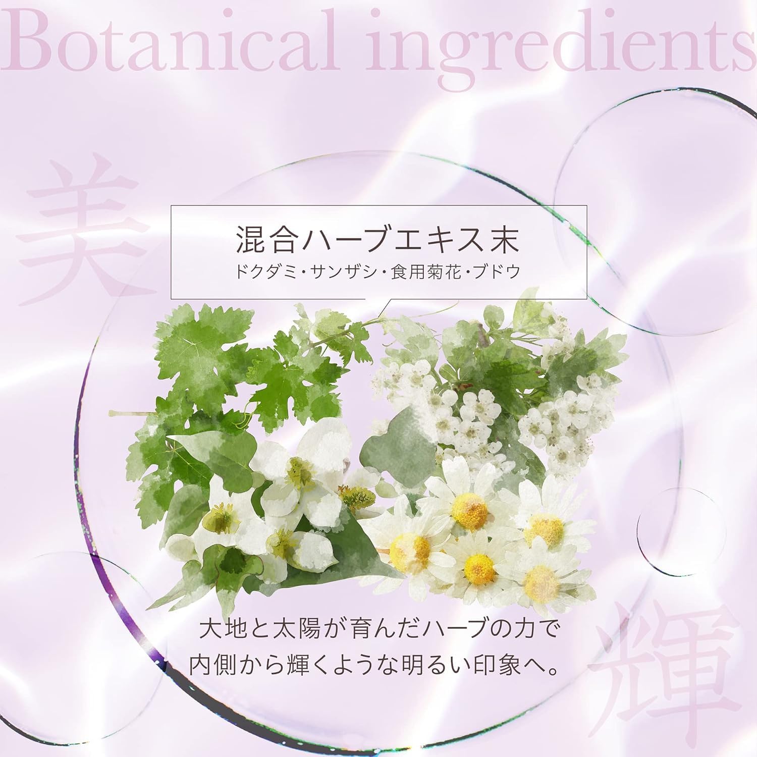 Axxzia Agtheory Marine Collagen Beauty Drink 10-Pack for Radiant Skin