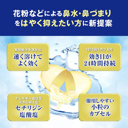 Stonarini Z Gel 24 Capsules by Sato Pharmaceutical - [Class 2 OTC Drug]
