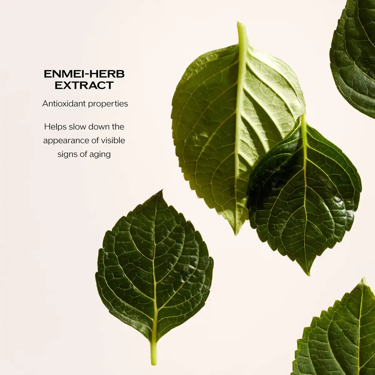 資生堂 Future Solution Lx アイ ＆ リップコントゥール リジェネレイティングクリーム 17ml/0.61oz