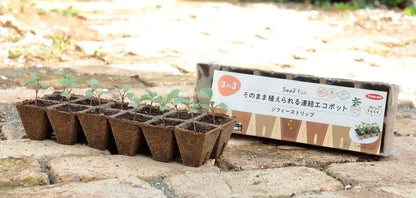 Sakata Seeds Eco Pot Jiffy Strip Square 5Cm 12Pcs 5Pcs Plant As-Is Home Garden Japan
