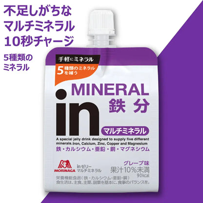 In Jelly Multi-Mineral Grape Flavor Dietary Supplement 180G X 6 Pieces - Iron Calcium Zinc Copper Magnesium - Japan Nutrient Functional Food
