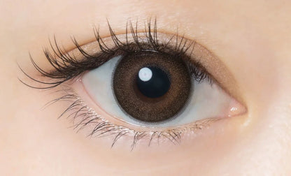 Flanmy Color Contacts 1Day 10Pcs/Box -03.25 Maple Chiffon | Made In Japan