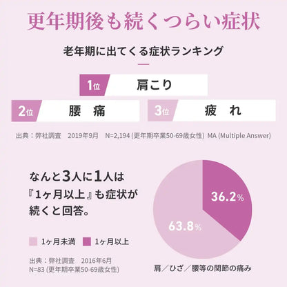 Mother Of Life Active 84 Tablets - Japanese Female Health Supplements - Health Drug