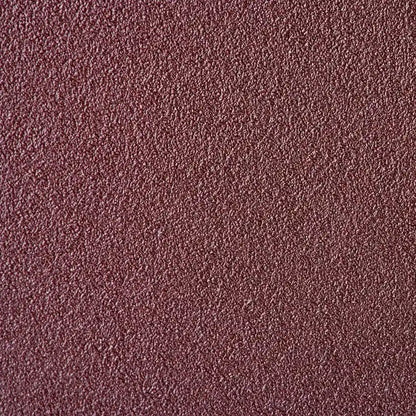 P. Shine Beauty Foot 120/220 - Exfoliating Tool for Smooth Soft Feet