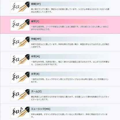 Sailor Facine Fine Point Fountain Pen - Elegant White 11-0725-210