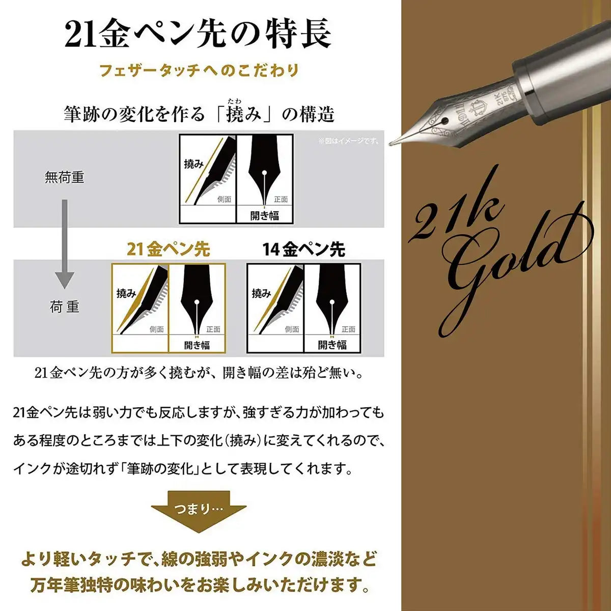 Sailor Fountain Pen Profit Black Luster Fine Point Model 11-3048-220