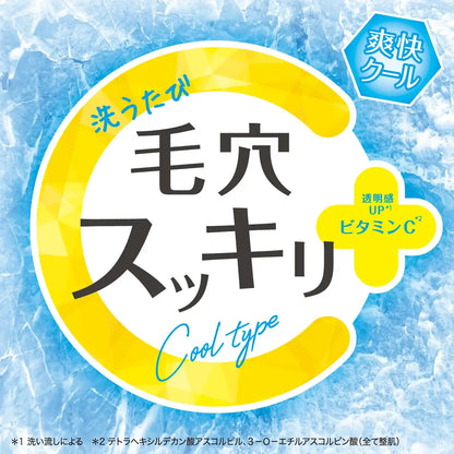 Cleansing Research Wash Cleansing C Cool 3-in-1 Makeup Remover Face Wash Exfoliator
