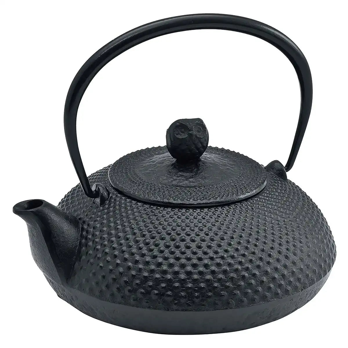 Ikenaga Nambu Cast Iron Tetsubin Kettle Houju