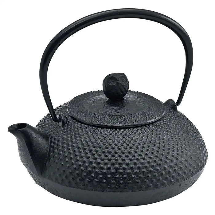 Ikenaga Nambu Cast Iron Tetsubin Kettle Houju
