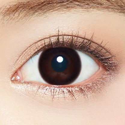 Ever Color 1Day Natural Black -4.25 20Pcs Japan