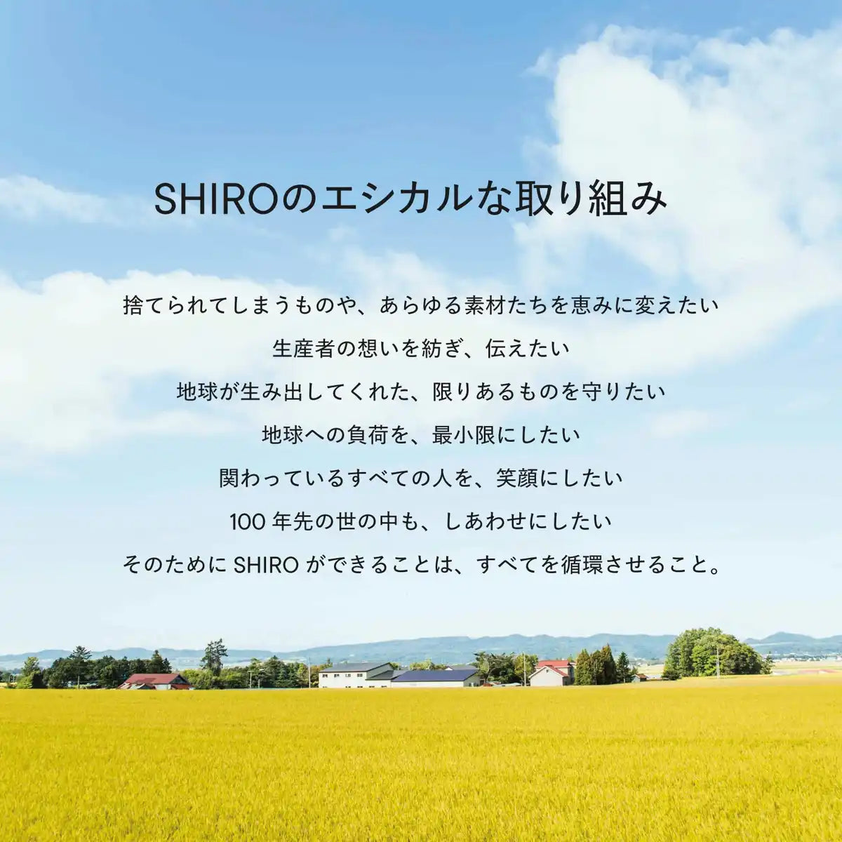 Shiro Neem Liquid Concealer 1C01 Light for Flawless Coverage