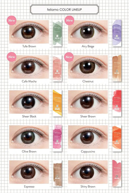 Ferriamo One Day Uv 10Pc 2 Box Set Mai Shiraishi Japan Image Model Sheer Brown -5.00