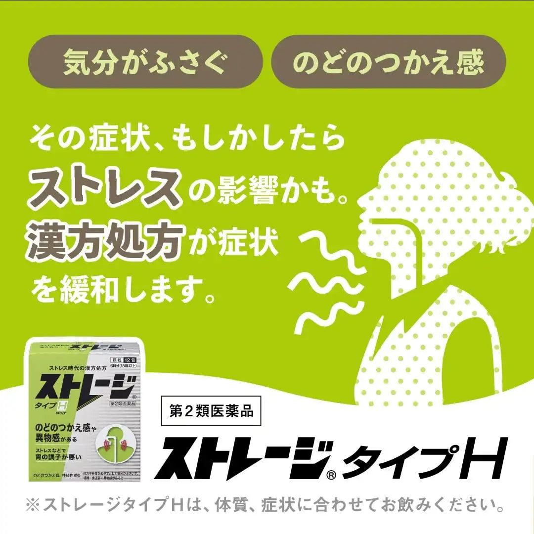 Storage Type H 12 Packets [2 Drugs] - Japan Vendor