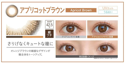 Ever Color 1Day Natural Color Contacts Prescription [Apricot Brown Pwr-1.50] Japan - 8 Boxes Of 20 Pieces