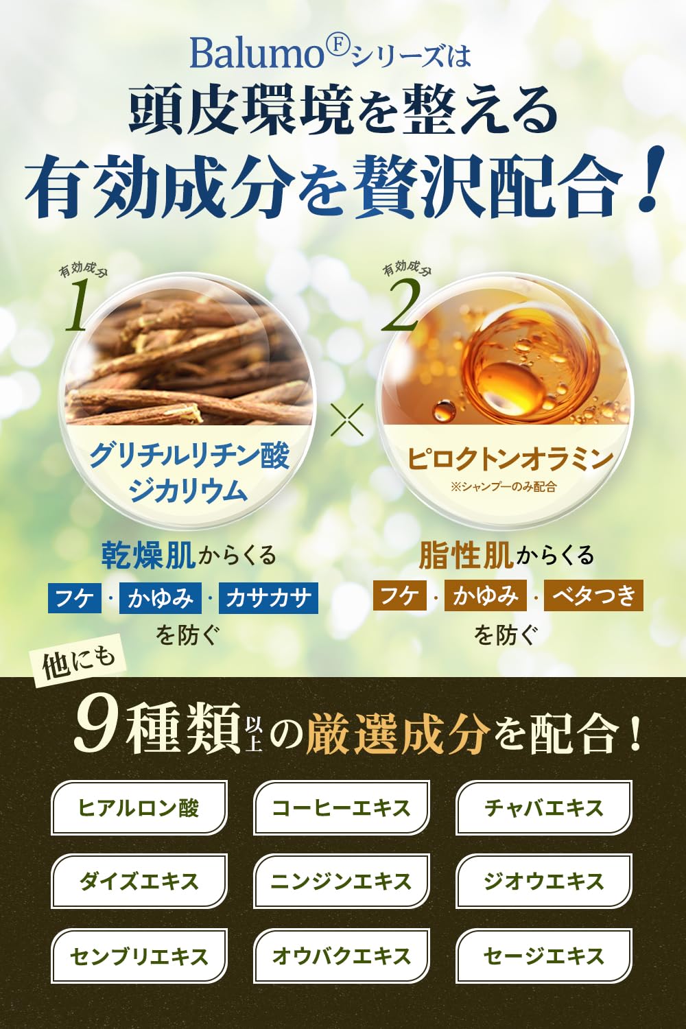 Balumo Balmo F Shampoo 300ml Medicated Scalp Care for Men and Women