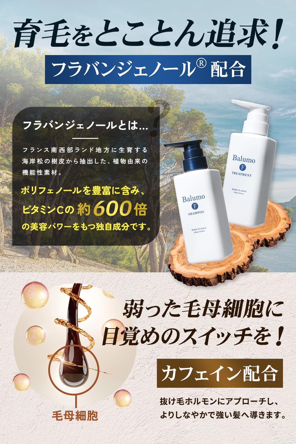 Balumo Balmo F Shampoo 300ml Medicated Scalp Care for Men and Women