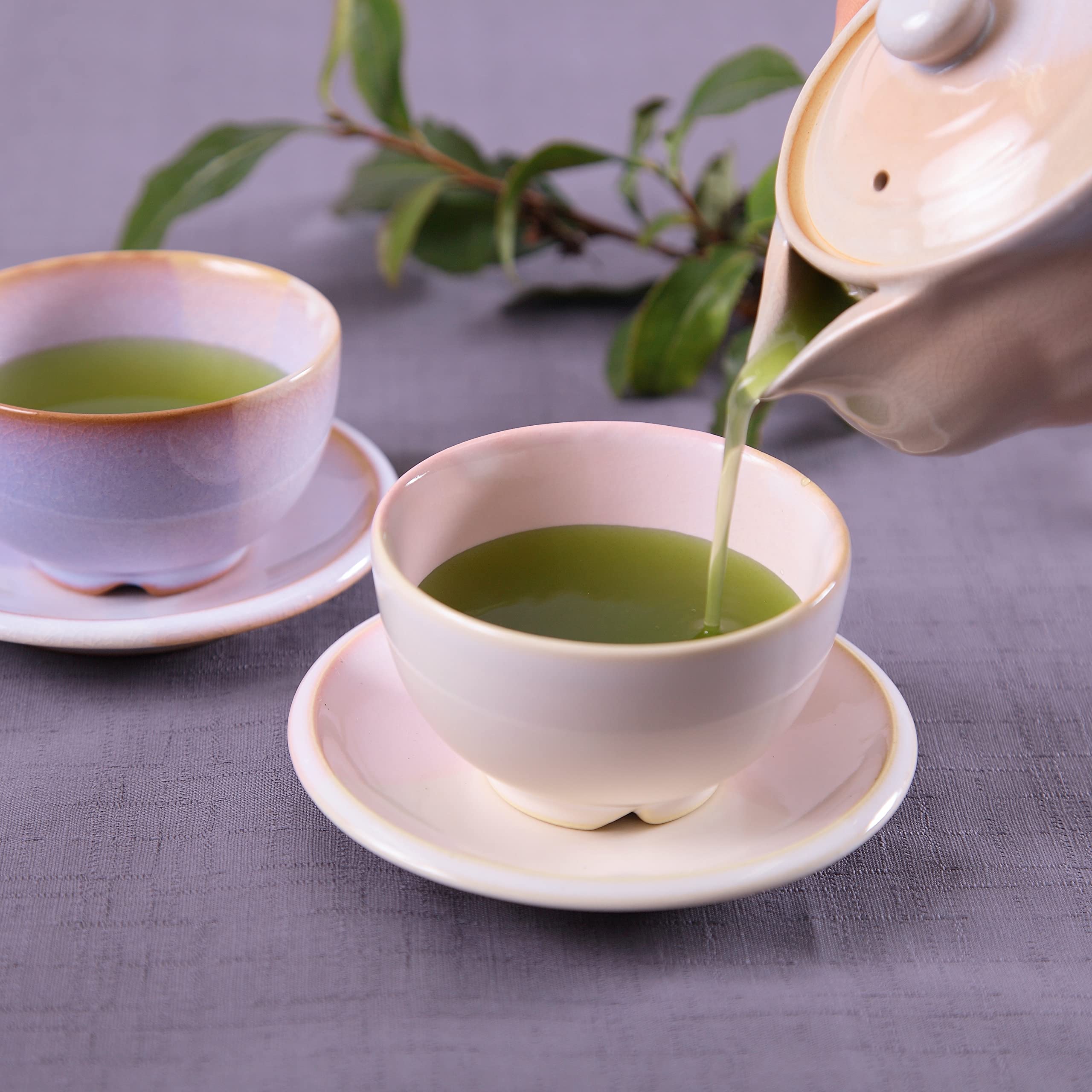 Akabori Store Gold Award Winning Deep Steamed Tea First Picked 100G Akahori