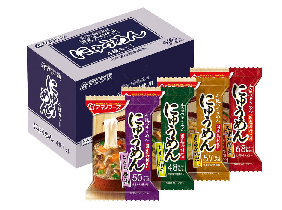 Amano Foods Nyumen Freeze-Dried Somen Noodles Hot Soup 4 Servings