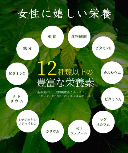 Honjien Tea Kuwanoha Tea Bag 3g x 30 Bags - Additive-Free Tea - Healthy Tea