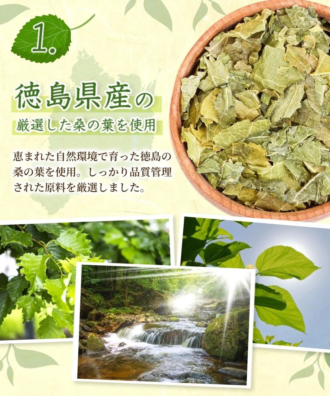 Honjien Tea Kuwanoha Tea Bag 3g x 30 Bags - Additive-Free Tea - Healthy Tea