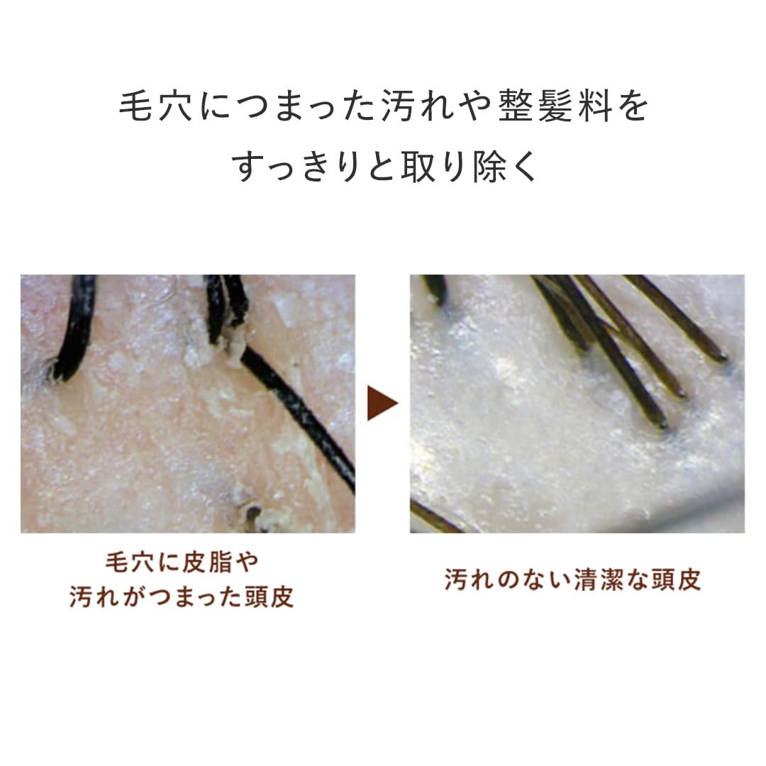 Ampleur Organic Shampoo Premium Phyto Hair Wash for Healthy Hair